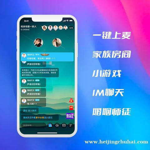 语音直播源码出售多人一对一语音聊天