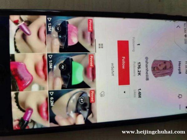 出售TIKTOK全球多个国家 百粉千粉万粉十万粉百万粉号17
