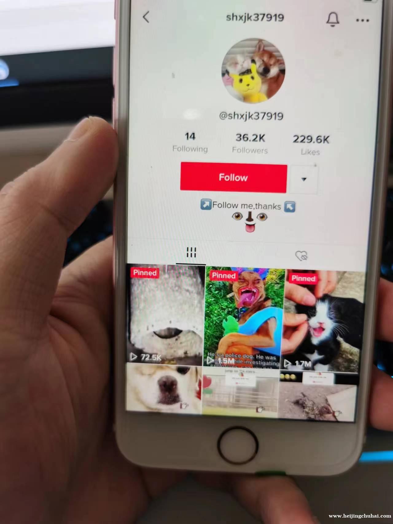 出售TIKTOK全球多个国家 百粉千粉万粉十万粉百万粉号24