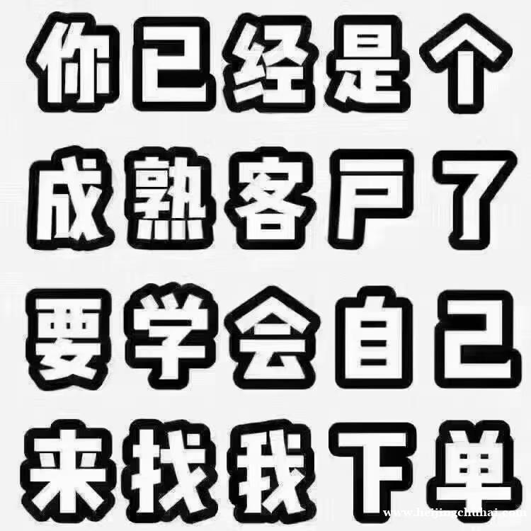 寻游戏实力出海甲方，提供谷歌 脸书顶级代投服务！