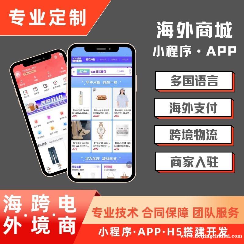 海外商城跨境电商小程序APP开发软件定制开发服务