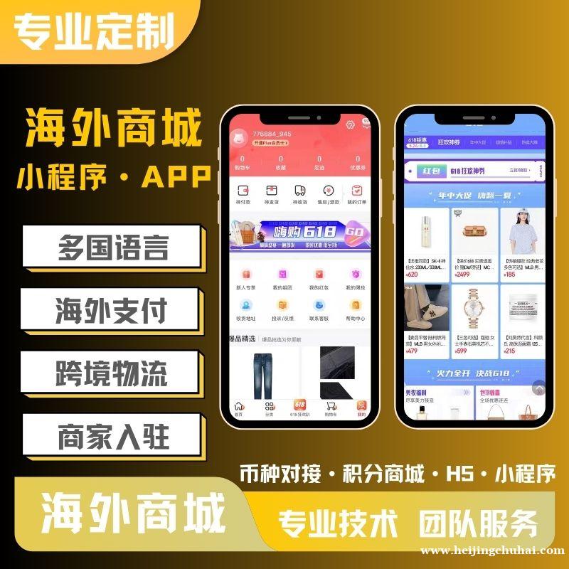 海外商城跨境电商小程序APP开发软件定制开发服务