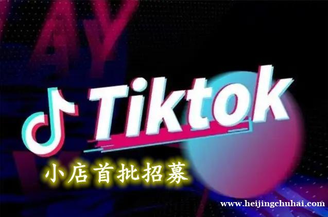 Tiktok 小店app 多语言跨境电商B2B2C