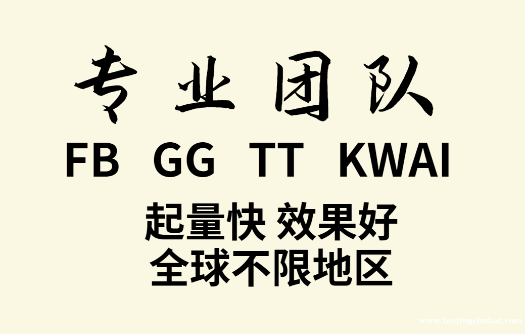 专业海外代投FB|GG|TT|KWAI起量快效果好欢迎合作