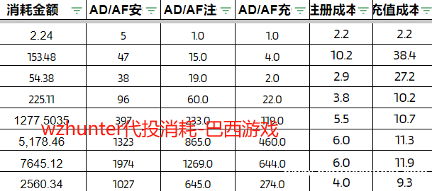 出谷歌老户或谷歌和FB代投