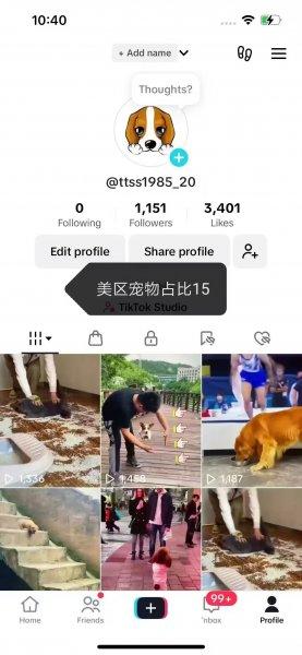 Tiktok一手账号，橱窗号直播号星图号等，自然流