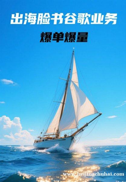 出海大媒体实力代投，寻甲方。