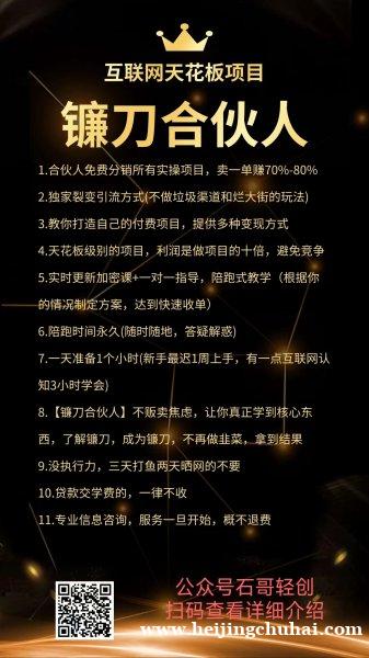 网创合伙人，互联网天花板级别的项目，年入百万不是梦！！
