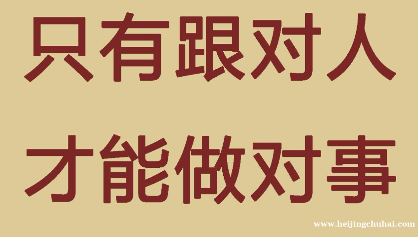 网创合伙人，互联网天花板级别的项目，年入百万不是梦！！