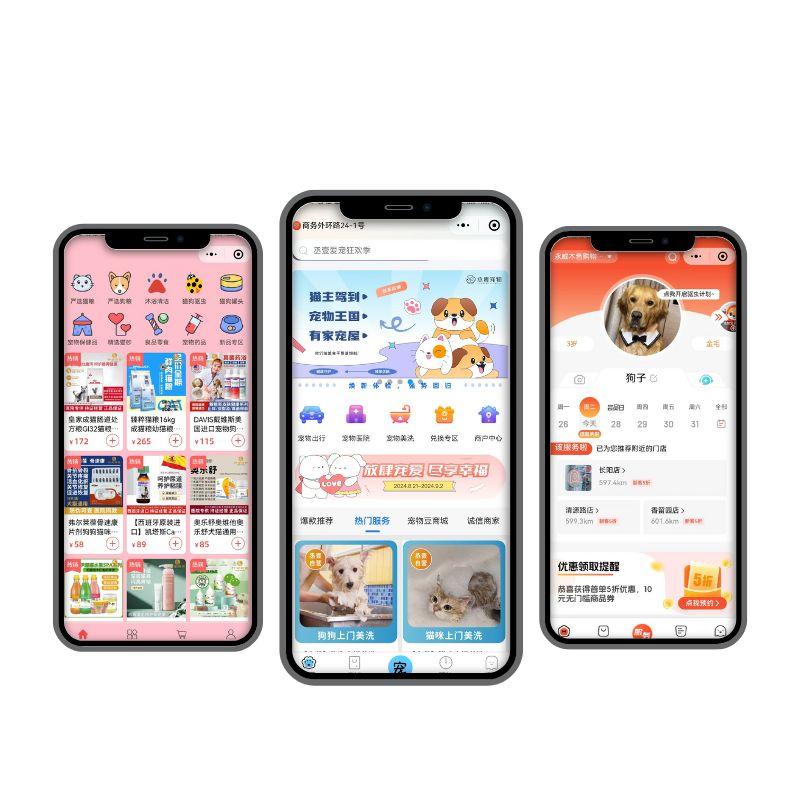 搭子组局小程序的运营策略与功能布局