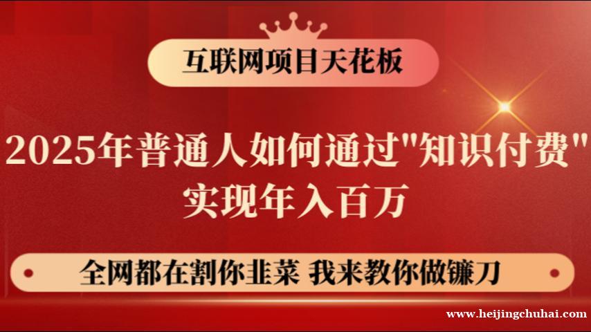 一个快速让你当老板的项目，在线知识付费项目平台，教你卖项目开